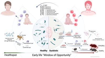 Editorial: The early life window of opportunity: role of the microbiome on immune system imprinting